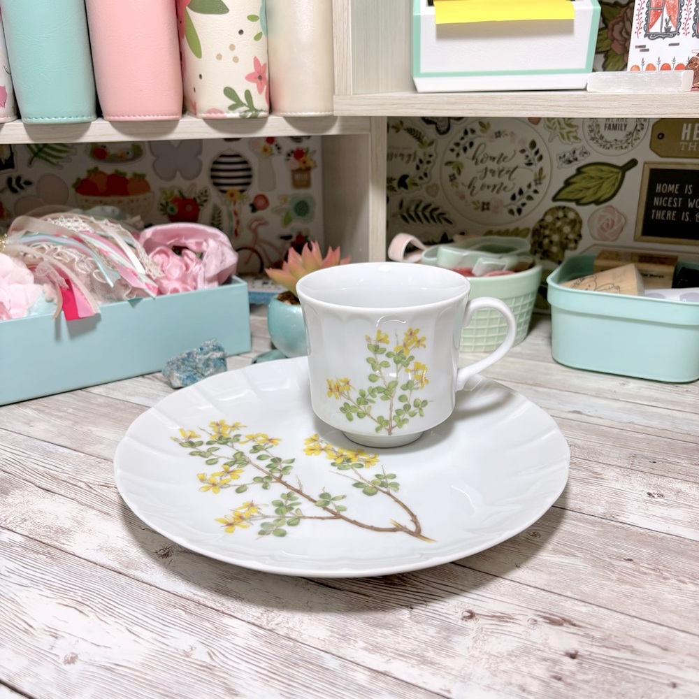 Vintage 70s Yorktown The Toscany Collection Floral Snack Plate & Tea Cup Set Vtg